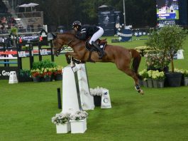 /images/Gregory Wathelet 26092015.jpg