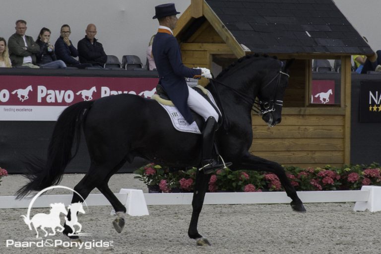 Dressuurhengst Dream Boy deels aangekocht door Glock