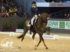 /images/HP Minderhoud Glocks Flirt 21032016.jpg