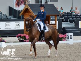 /images/Hans Peter Minderhoud 07072017.jpg