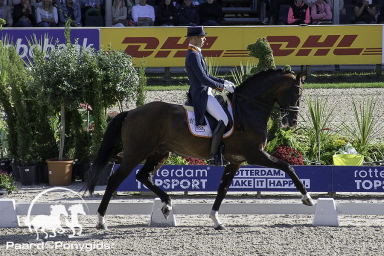Nederlandse dressuurpaarden glansrijk door vetcheck