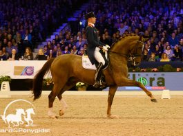 /images/Hans Peter Minderhoud WereldbekerfinaleGotenburg.jpg