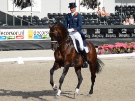 /images/Hans Peter Minderhoud_Glocks Johnson TN 26082015.jpg