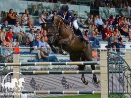 Harrie Smolders in Valkenswaard. Foto: Tabitha de Bie - Paard & Ponygids
