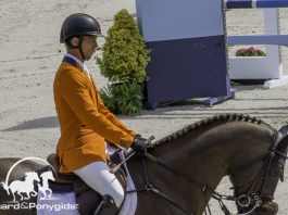 /images/Harrie Smolders 21122017.jpg