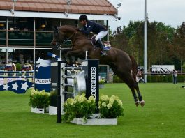 /images/Harrie Smolders 25102015.jpg