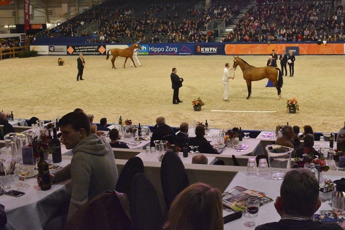 /images/Hengstenkeuring Den Bosch .jpg