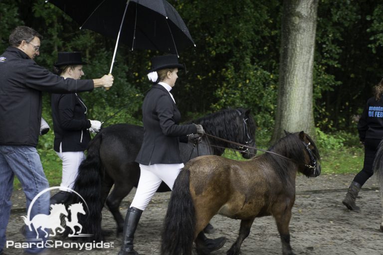 Horse Event vandaag afgelast, zitcompetitie verplaatst naar Zwolle