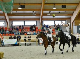 /images/Horseball 13122015.jpg