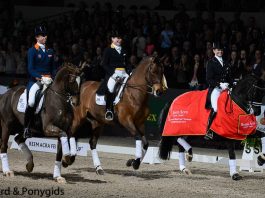 /images/IB 2015 WB freestyle.jpg