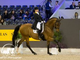 /images/Isabell Weryh op Emilio IB 2017.jpg