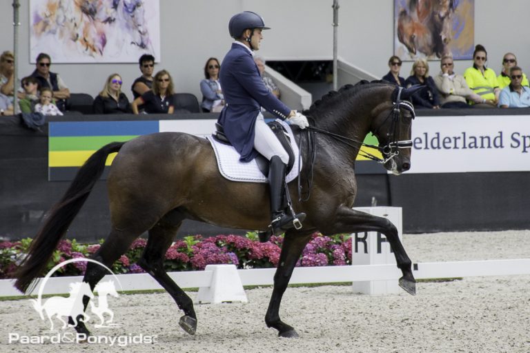 Luijmes rijdt Nederland naar tweede plaats in Hickstead