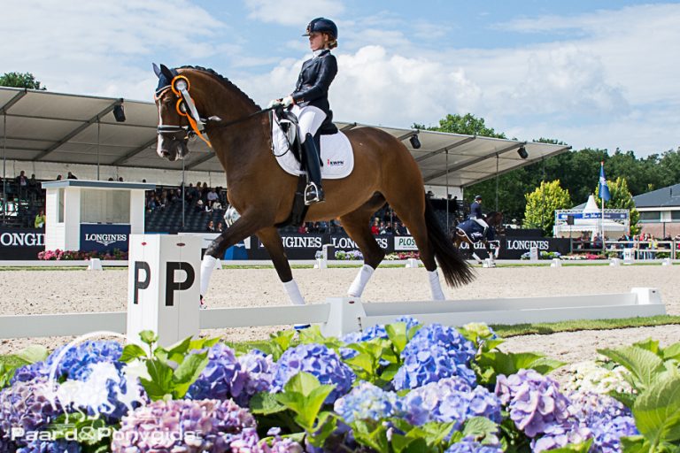 Great Lady onder Nieuwenhuis naar gedeelde 2e plaats kleine finale
