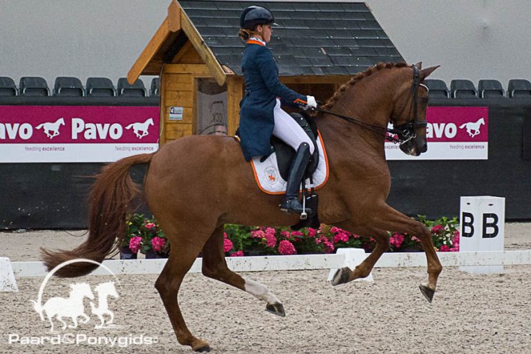 EK dressuur: Young Riders winnen zilver in landenwedstrijd