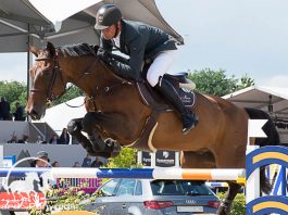 Jeroen Dubbeldam in actie op Outdoor Gelderland 2016. Foto: Tabitha de Bie