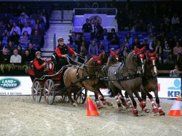 /nieuws/nieuws_img/Jerome Voutaz.jpg