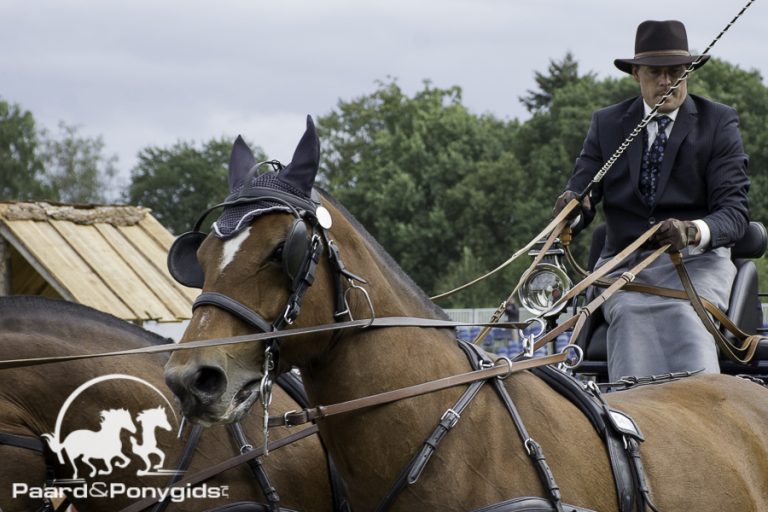 Voutaz wint openingswedstrijd WB finale vierspannen