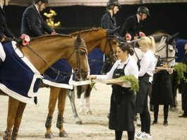 /nieuws/nieuws_img/Jumping Achterhoek 13112017.jpg