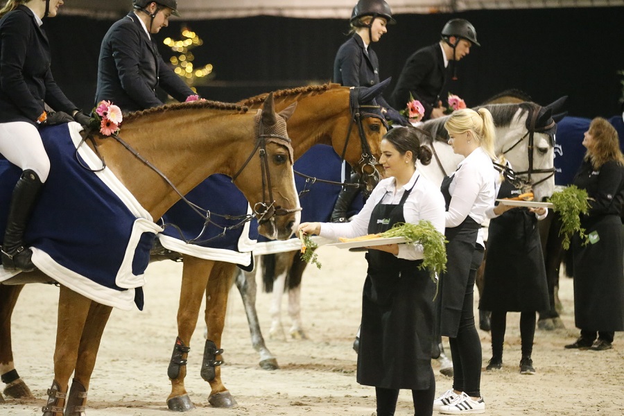 /nieuws/nieuws_img/Jumping Achterhoek 13112017.jpg /nieuws/nieuws_img/Jumping Achterhoek 13112017.jpg