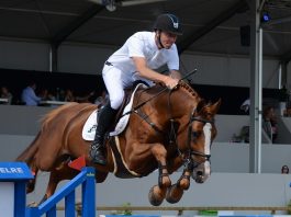 /images/Jur Vrieling_Arezzo VDL.jpg