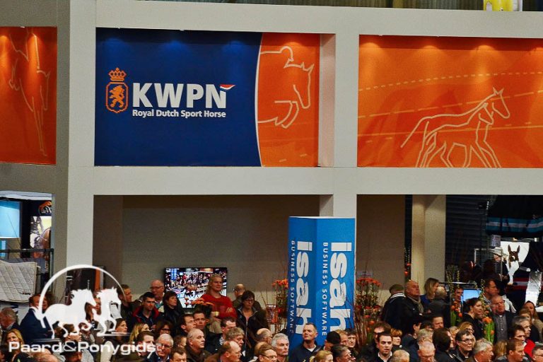 Kannan Jr overtuigend kampioen op KWPN hengstenkeuring