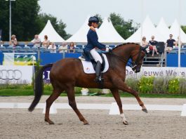 /images/Kirsten Beckers_Broere Argentino.jpg