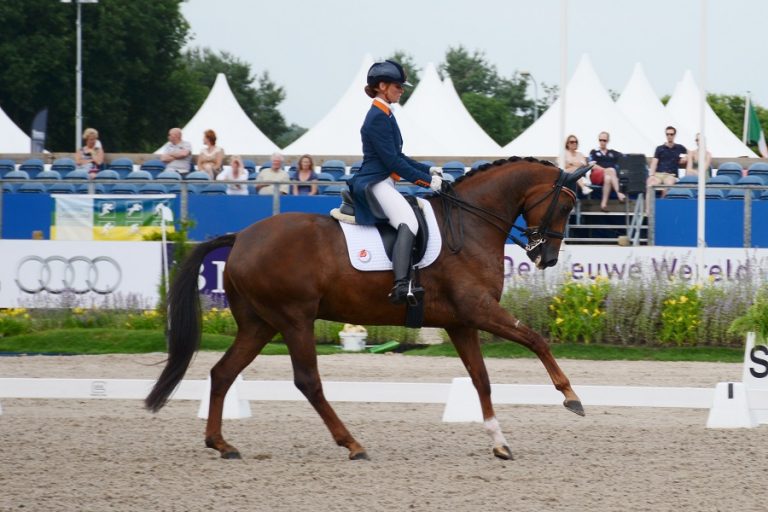 Kirsten Beckers wint BKC prijs