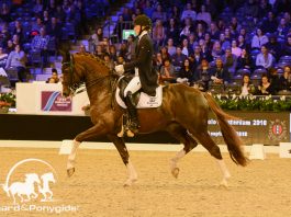 /images/Kirsten Brouwer met Sultan des Paluds.jpg