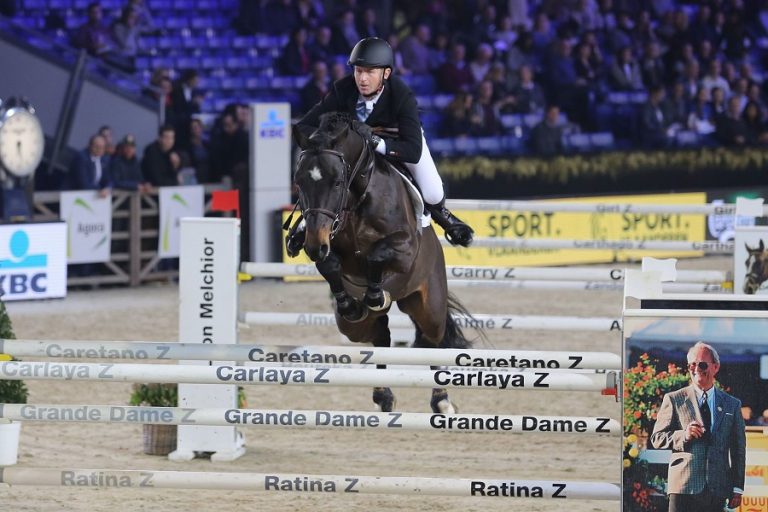 QP Castellane wint rubriek voor 7-jarige springhengsten