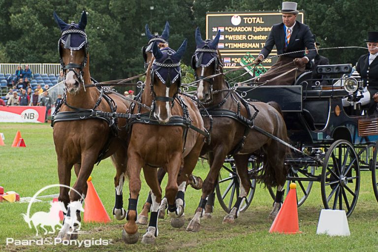 Exell wint eerst ronde WB Bordeaux, De Ronde tweede