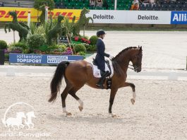 /images/Laura Graves 22062017.jpg