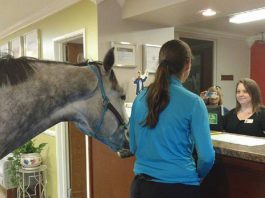 /nieuws/nieuws_img/Lindsey Partridge.jpg