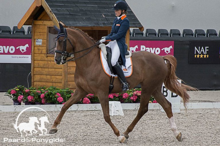EK Young Riders: Nederland op medaillekoers in landenwedstrijd