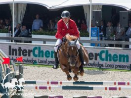 /images/Ludger Beerbaum 25092016.jpg