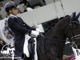 /images/Lynne Maas 1509.jpg