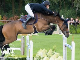 /images/Maikel van der Vleuten 11052017.jpg