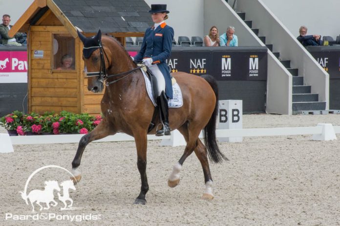 /images/Marieke van der Putten.jpg