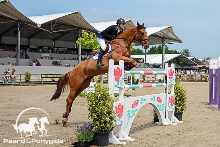 Grand Prix van Bolesworth gewonnen door Michel Hendrix