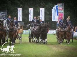 /images/Nederland goud 040922016.jpg