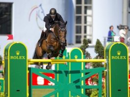 /nieuws/nieuws_img/Nick Skelton_Big Star.jpg