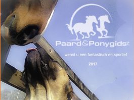 /images/Nieuwjaar 2016.jpg