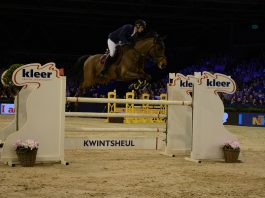/images/Olivier Philippaerts 31012016.jpg