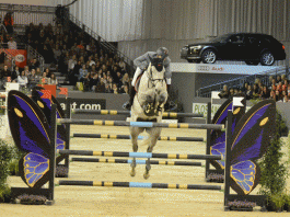/images/Olivier Philippaerts Indoor Brabant 2015.gif