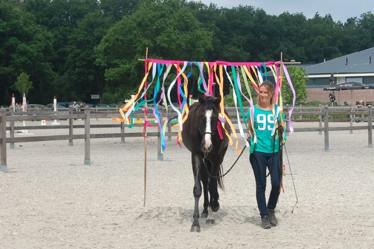 Genieten op de derde editie van de Paard & Leven Dag