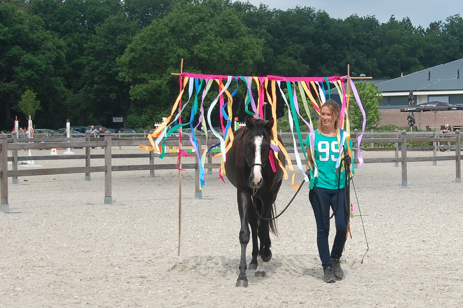 /nieuws/nieuws_img/Paardenlevendag 2015.jpg /nieuws/nieuws_img/Paardenlevendag 2015.jpg