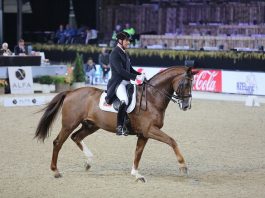 /nieuws/nieuws_img/Patrick van der Meer Zippo 27122017.jpg