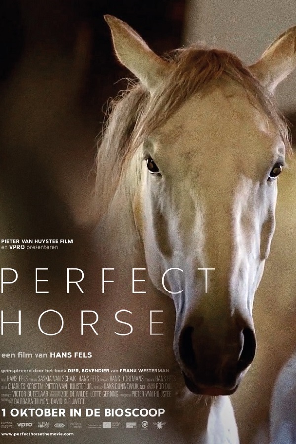 Maandag tv première documentaire Perfect Horse