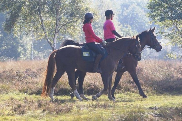 /nieuws/nieuws_img/Pink Ride.jpg