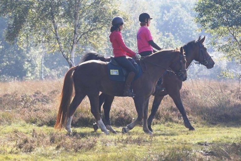 Pink Rides halen recordbedrag op voor Pink Ribbon