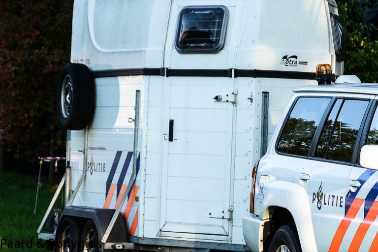 Politie komt met advies omtrent paardenmishandelingen